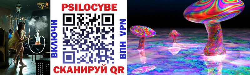 сколько стоит  Кашира  Псилоцибиновые грибы прущие грибы 